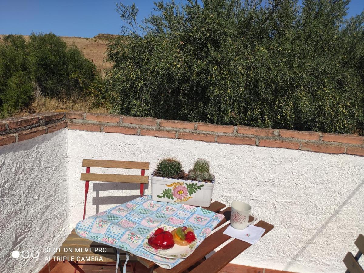 Bed and Breakfast El Lagar De Pepe Касабермеха Экстерьер фото